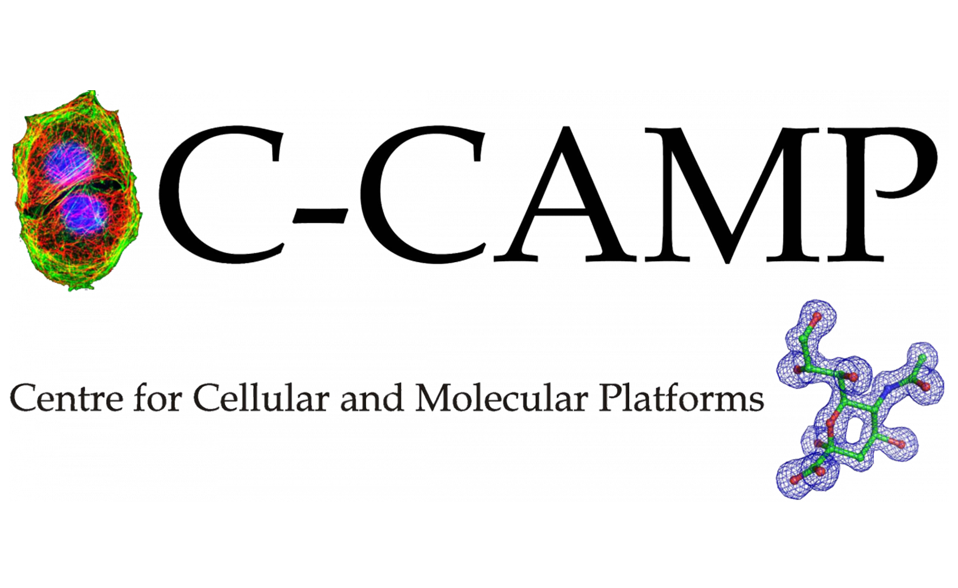 c-camp logo